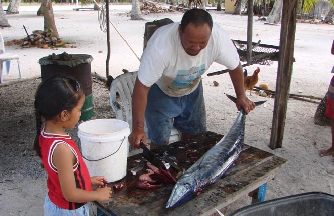 This mornings catch © BW Media